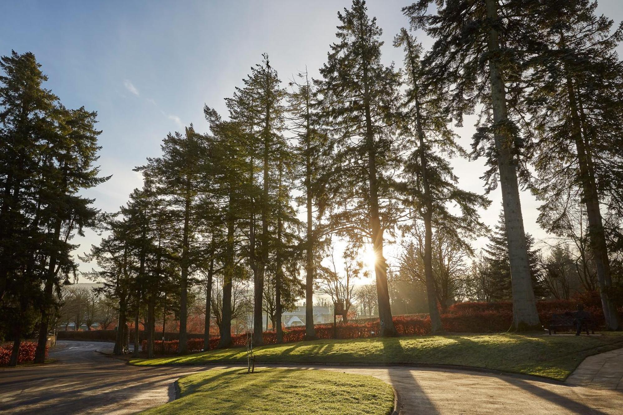 Cairn Lodge Auchterarder Eksteriør bilde